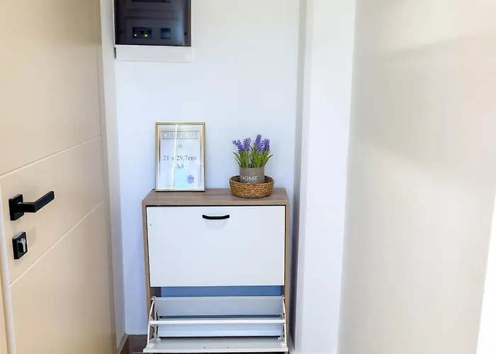 51 Sunny Deluxe 公寓